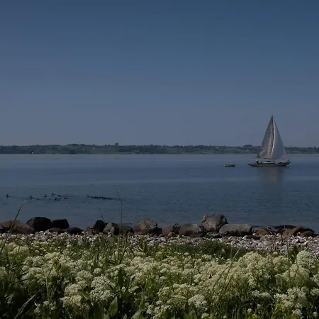4 Person In Aeroskobing-by Traum Ærøskøbing