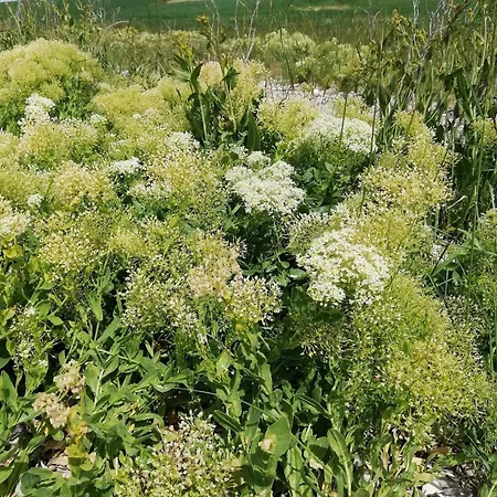 4 Person In Aeroskobing-by Traum Σπίτι διακοπών *