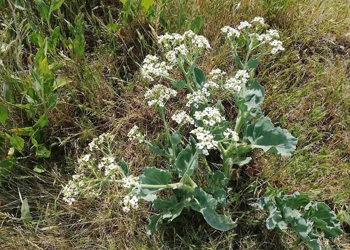 4 Person In Aeroskobing-by Traum *