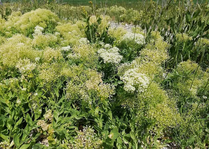 4 Person In Aeroskobing-by Traum Сasa de vacaciones *